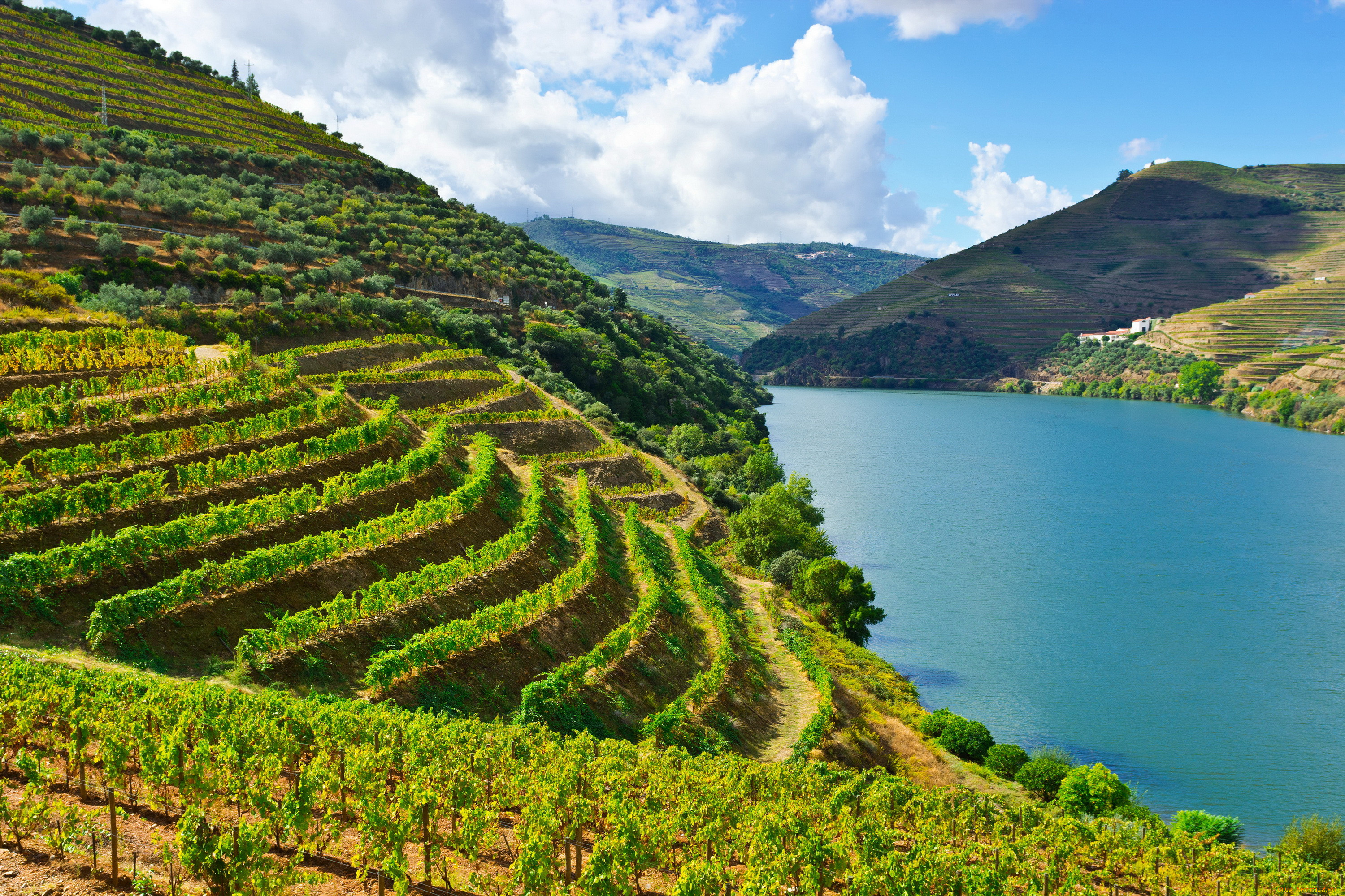 , , , , , douro, river, 